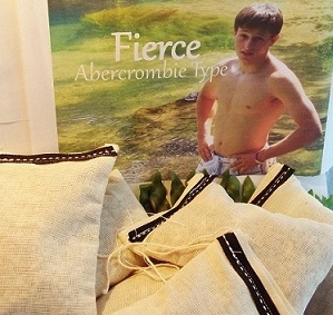 Fierce-Abercrombie Type 3 Toss In Bags Organic Dryer/Car Sachet-Abercrombie Fierce, Fierce car freshener, Abercrombie car freshener, abercrombie clothes, car sachets, fierce car air freshener