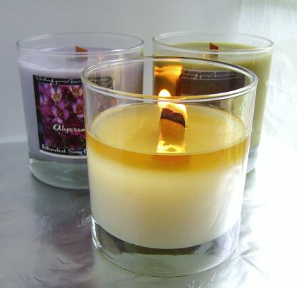 12oz Max Scented Wooden Wick Blended Soy Candle PICK YOUR SCENT-soy candles, candle, candles, max scented soy candles, designer soy candle, wood wick candle, wooden wick candles