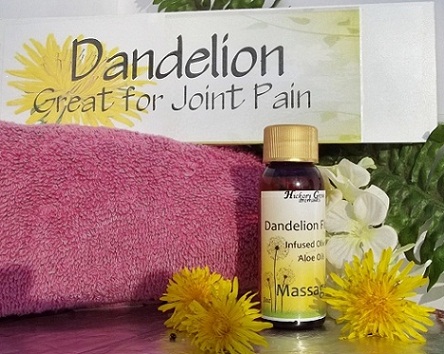 All Natural Wildharvested Dandelion Massage Oil-dandelion flower massage oil,, dandelion massage oil, dandelion oil, arthritis massage oil, joint massage joint massage oil, dandelion flower, dandelion oil
